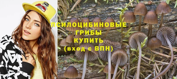 меф Арсеньев